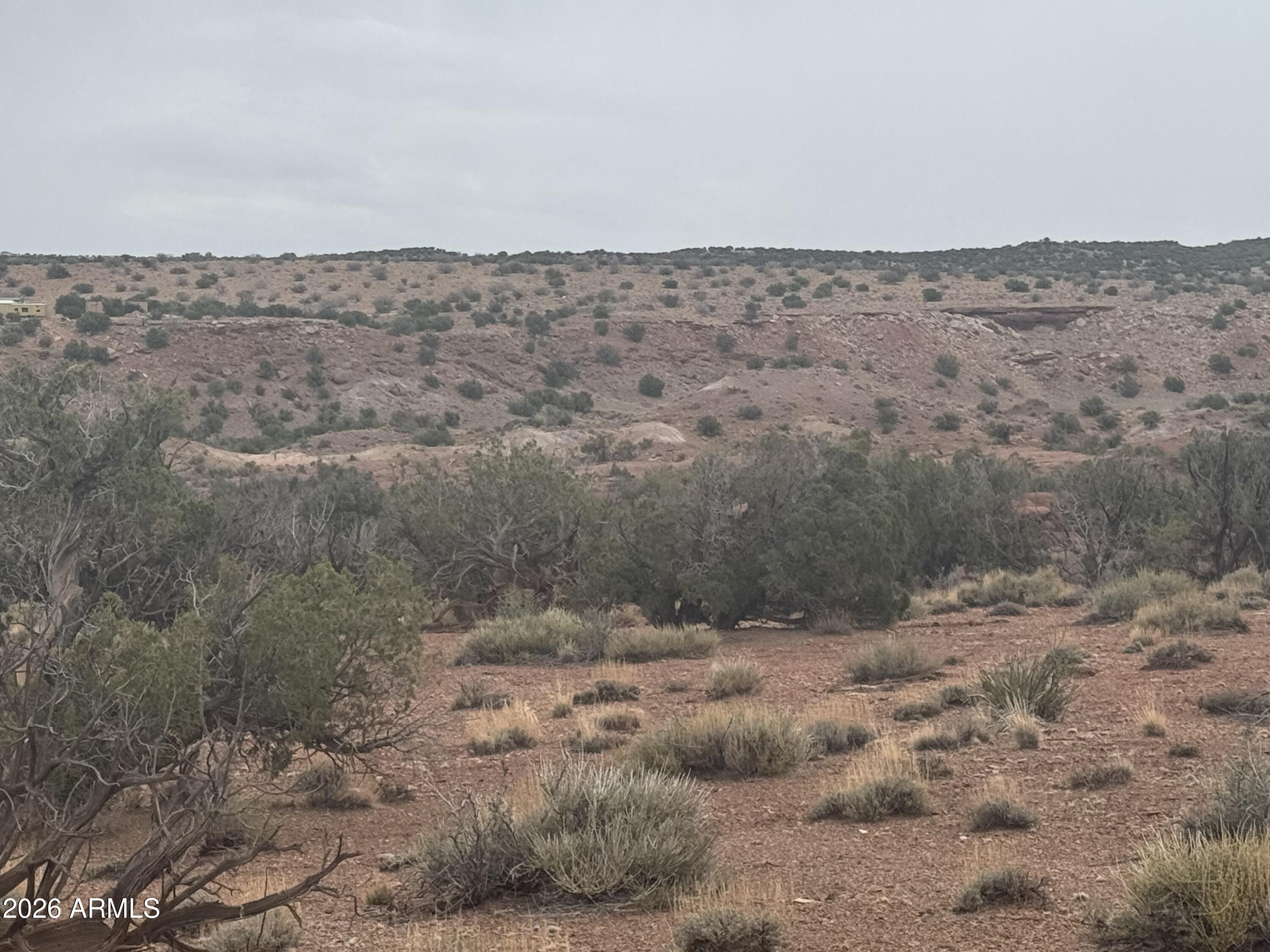 Lot 222 River Springs Ranch, Unit 222 St. Johns, AZ 85936 - Photo 9 of 19 a view of a dry yard
