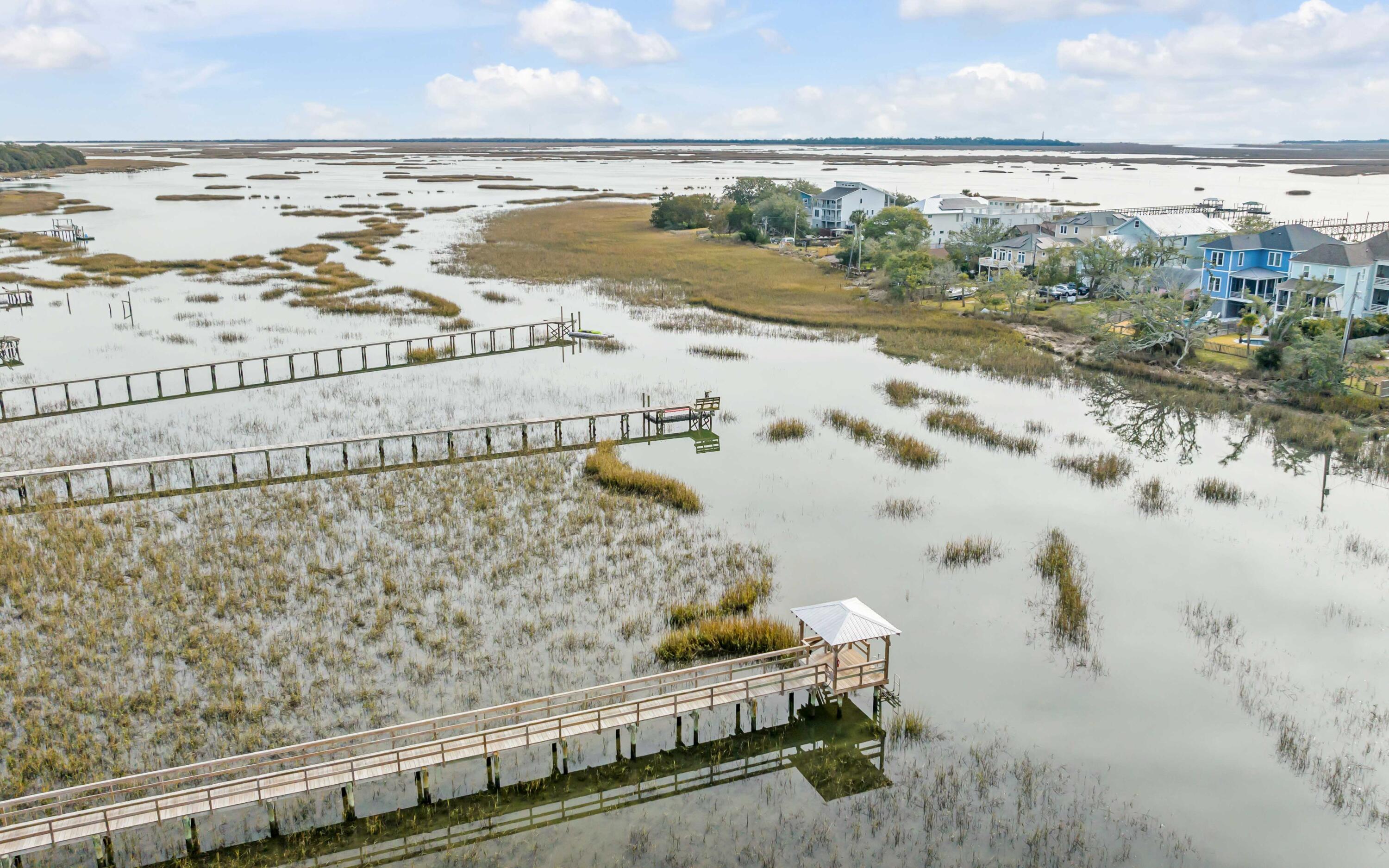 1421 Rivers Cotton Road Charleston, SC 29412 - Photo 2 of 51 DJI_20240111102732_0705_D