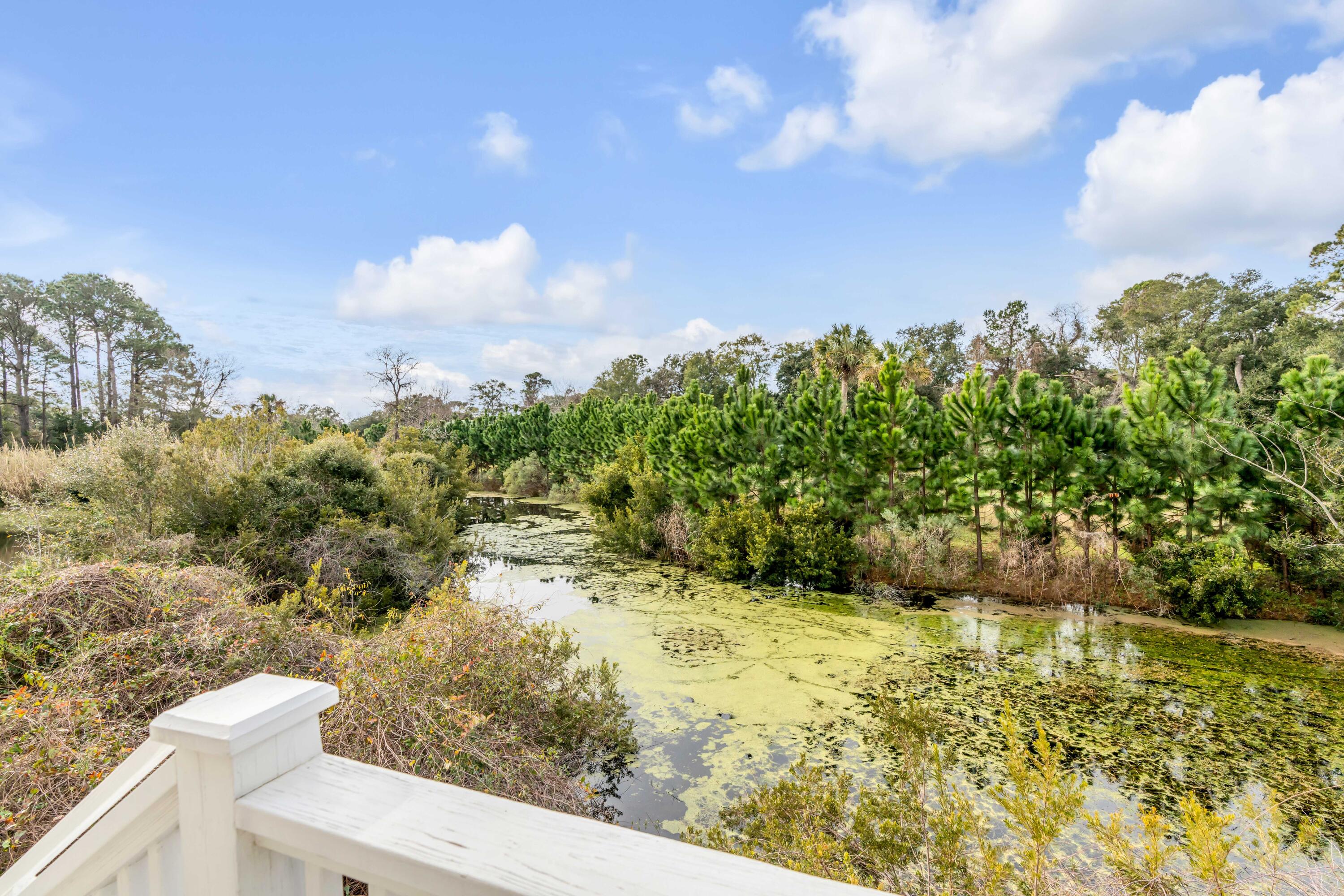 1421 Rivers Cotton Road Charleston, SC 29412 - Photo 41 of 51 DSC05549