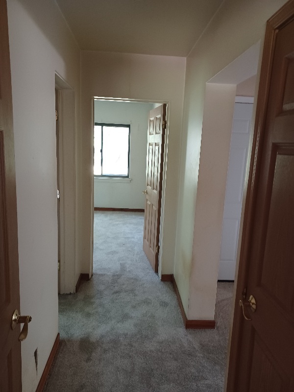 210 Maple Lane Thornton, IL 60476 - Photo 11 of 18