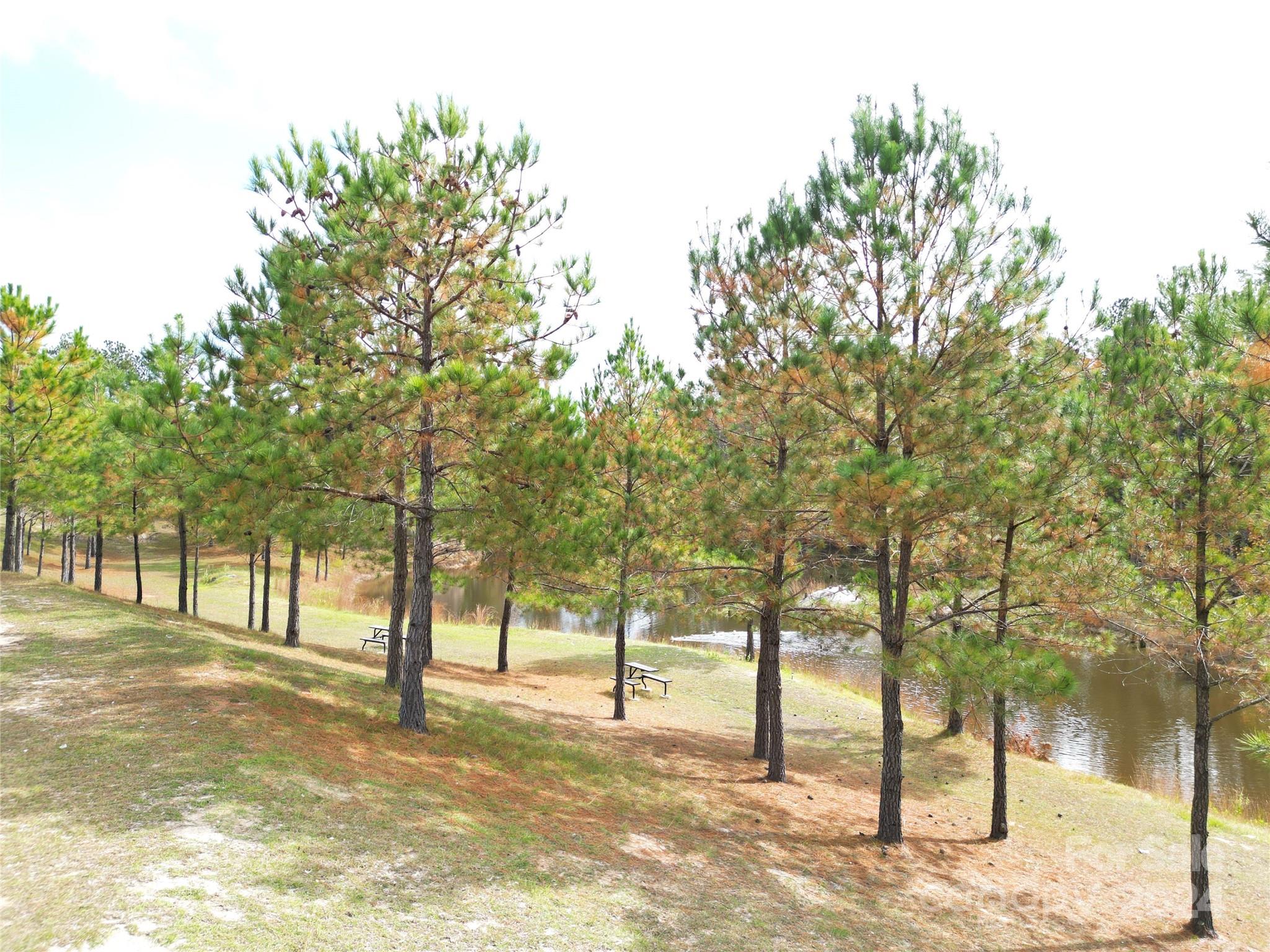 2034 Haileys Ferry Road Lilesville, NC 28091 - Photo 20 of 48