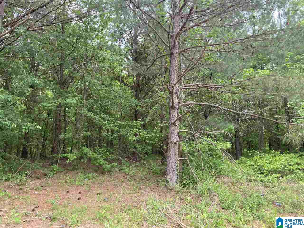 513 County Road, Unit 5 65 Woodland, AL 36280 - Photo 1 of 1