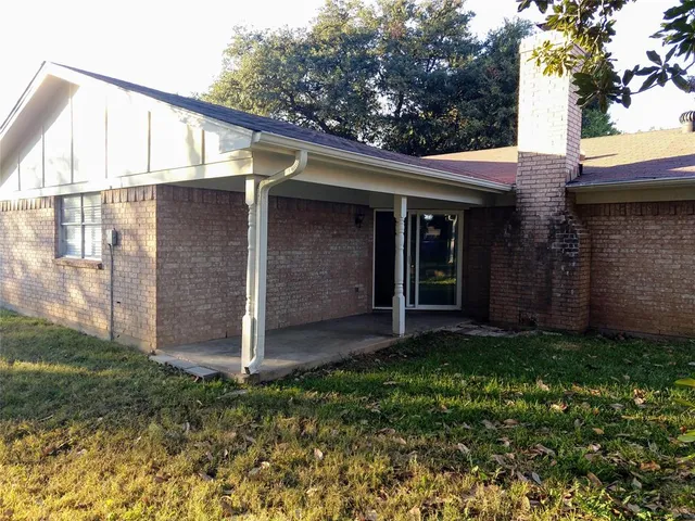 a view of backyard with large tree
