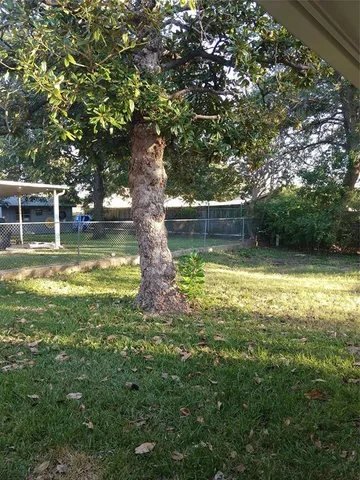 a view of a backyard with large trees