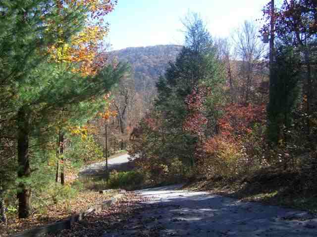 217 Devils Fork Road Marietta, SC 29661 - Photo 3 of 6 Gallery Image 3