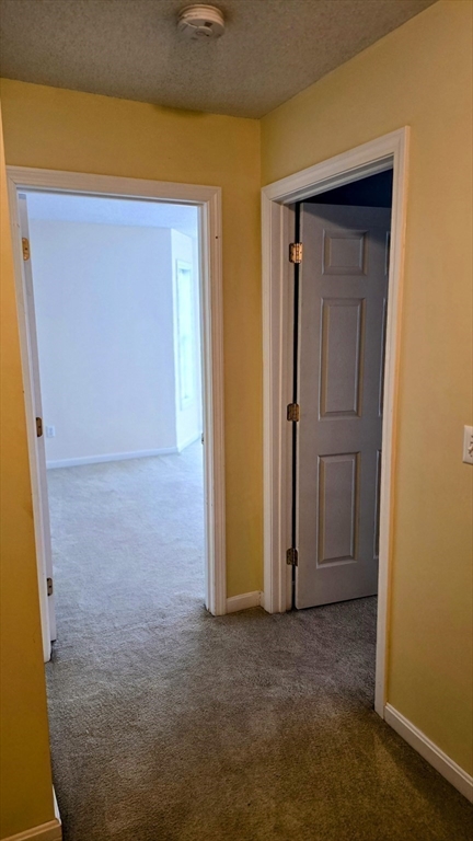 18 Palmer Road, Unit 7 Monson, MA 01057 - Photo 26 of 39