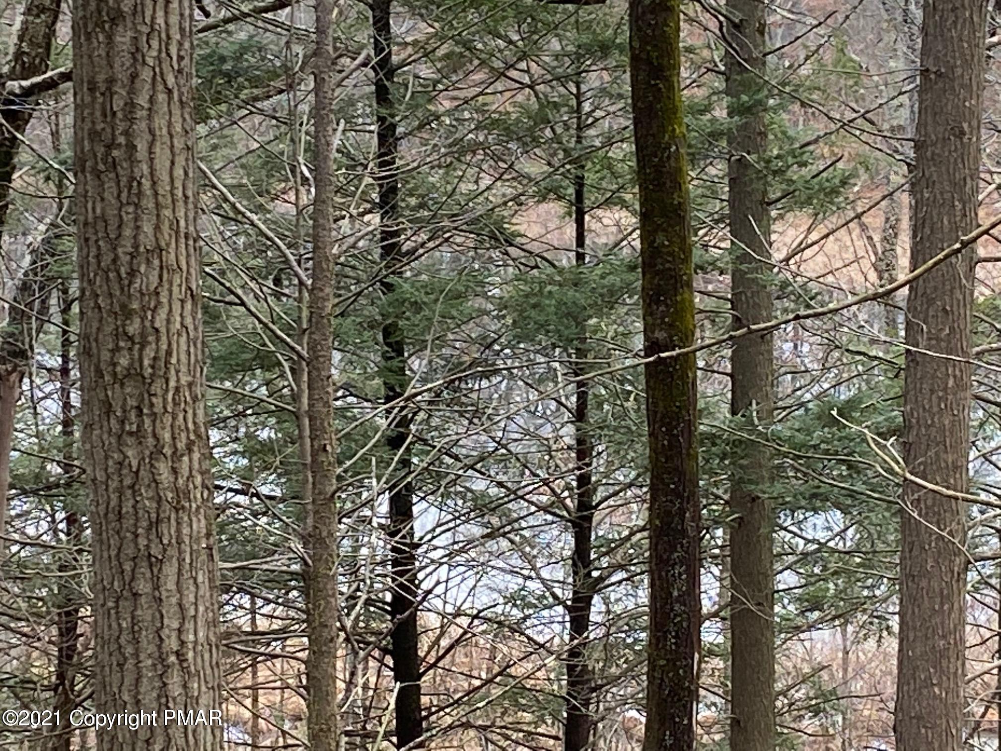 113 Lincoln Road East Stroudsburg, PA 18302 - Photo 36 of 44 IMG_2932