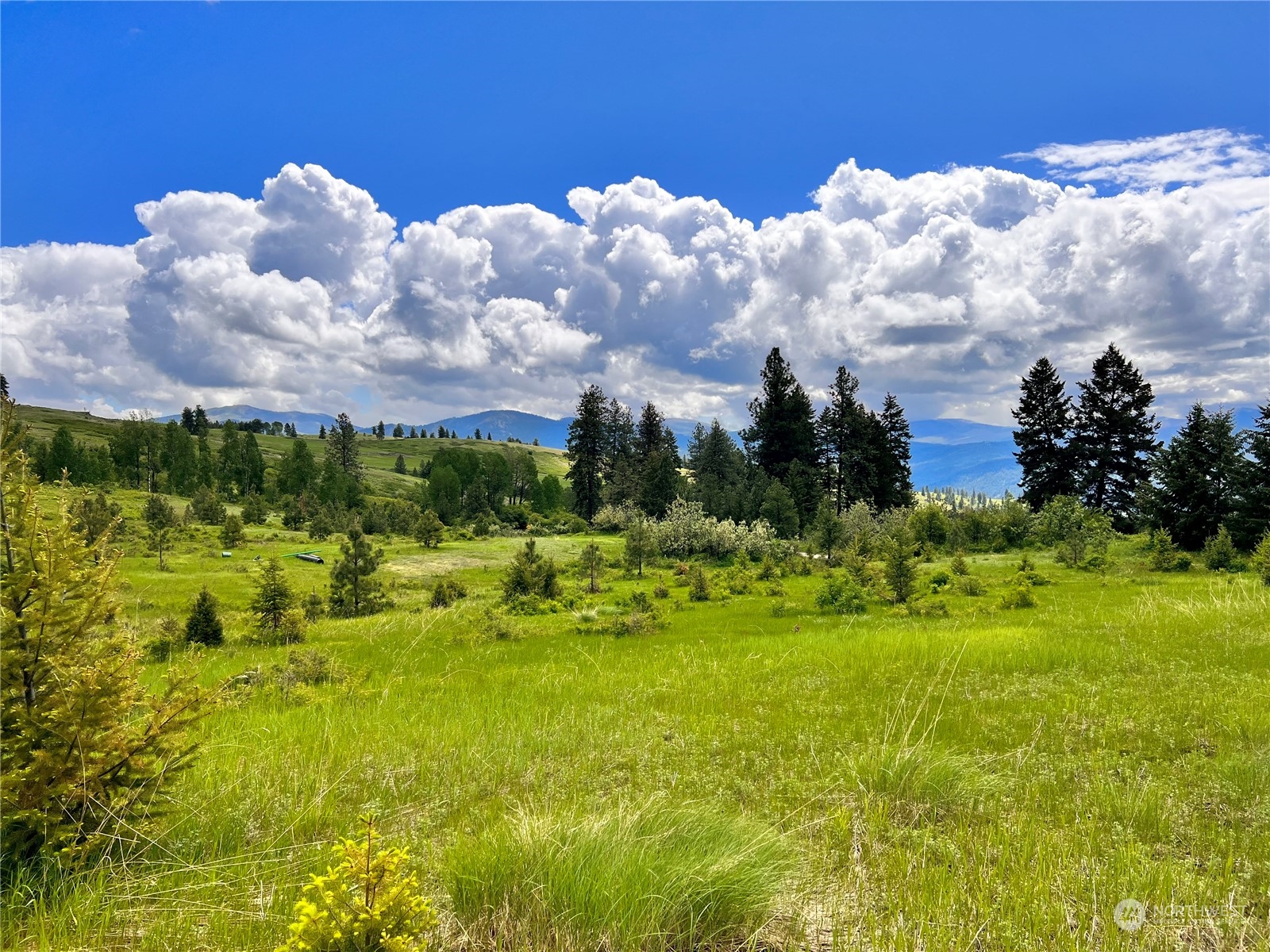 -tbd Big Goosmus Creek Road Curlew, WA 99118 - Photo 1 of 12 a view of a lake with houses in the background