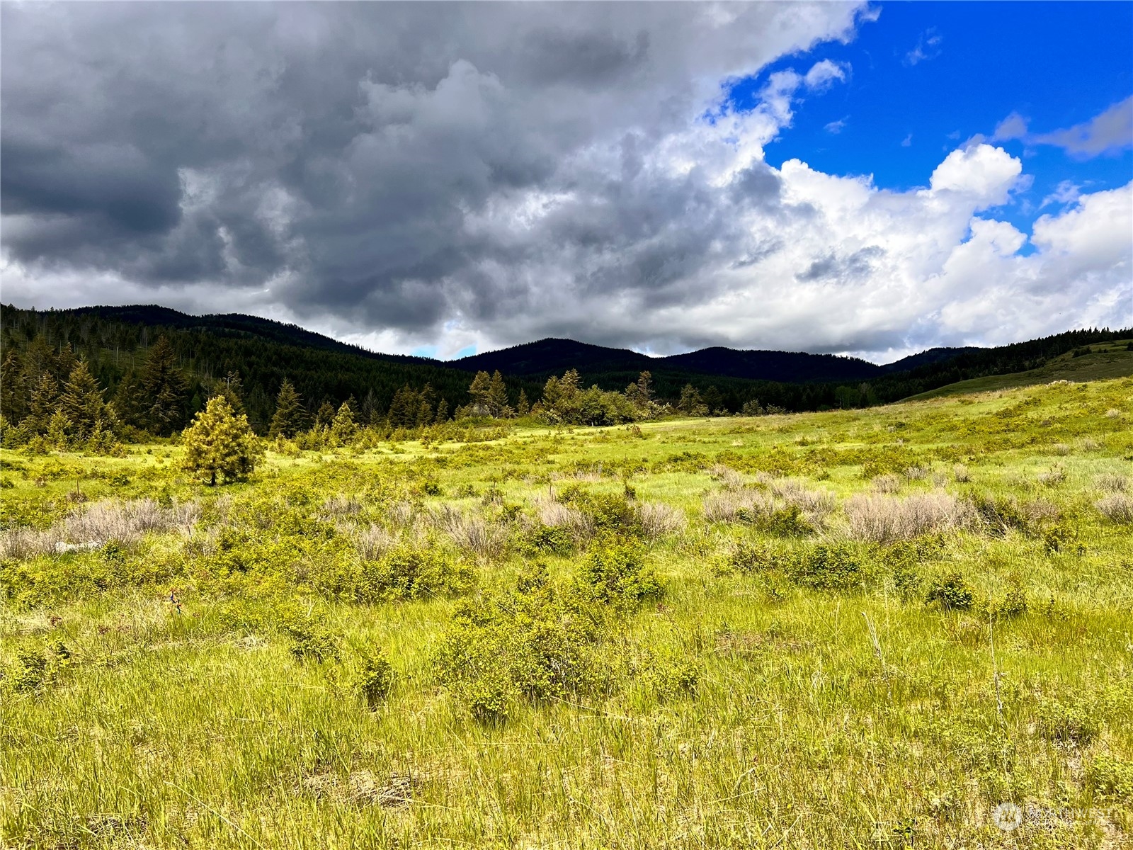 -tbd Big Goosmus Creek Road Curlew, WA 99118 - Photo 2 of 12 a view of swimming pool and mountain in the background