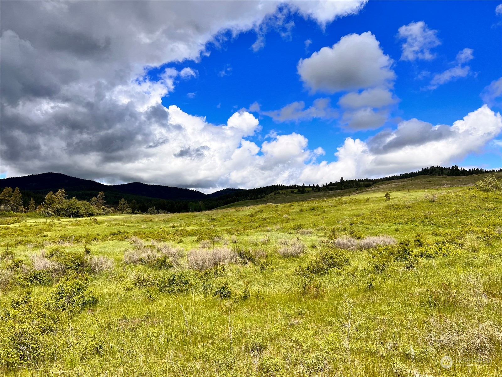 -tbd Big Goosmus Creek Road Curlew, WA 99118 - Photo 3 of 12 a view of an ocean