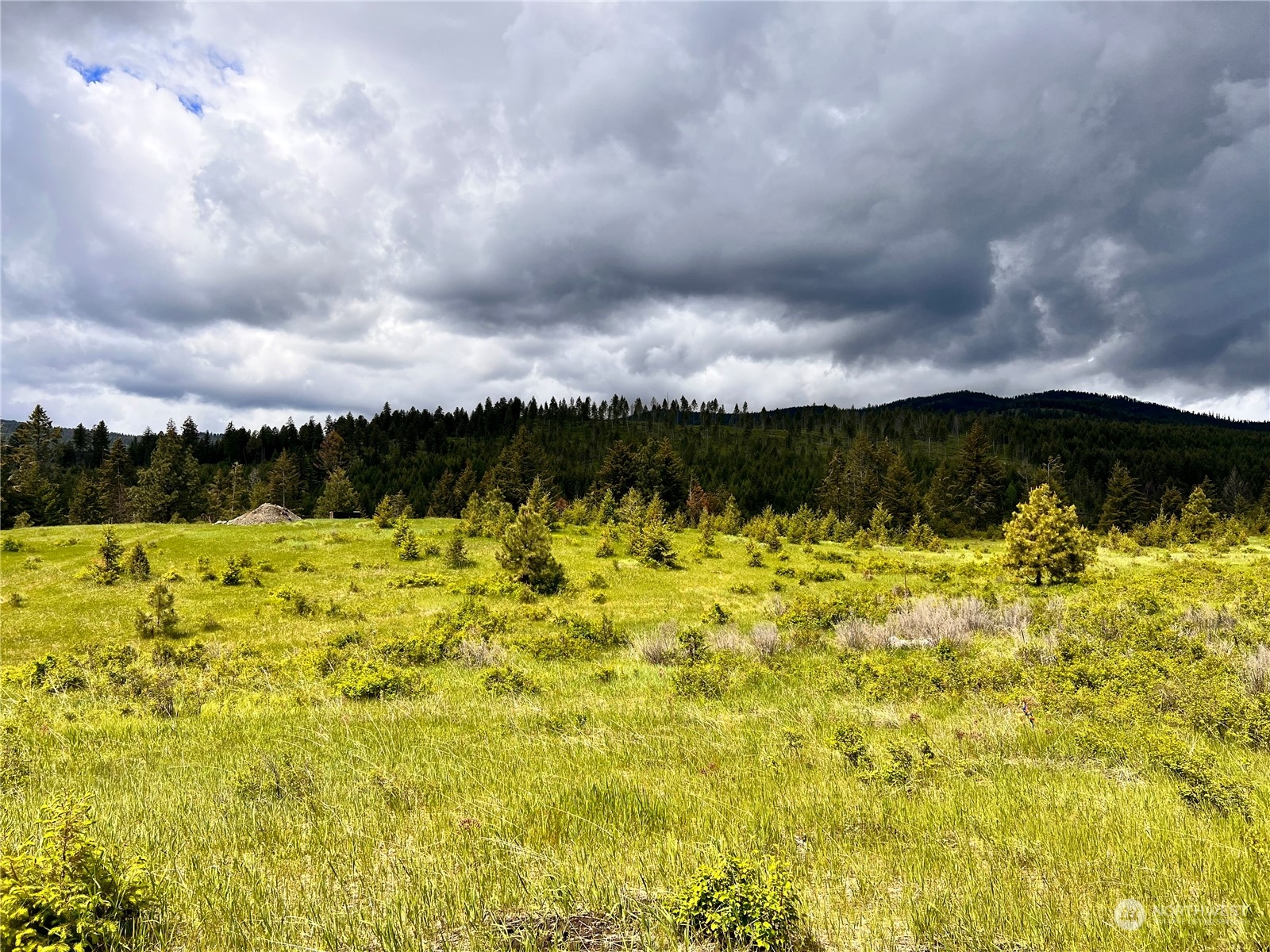 -tbd Big Goosmus Creek Road Curlew, WA 99118 - Photo 4 of 12 a view of swimming pool and mountain