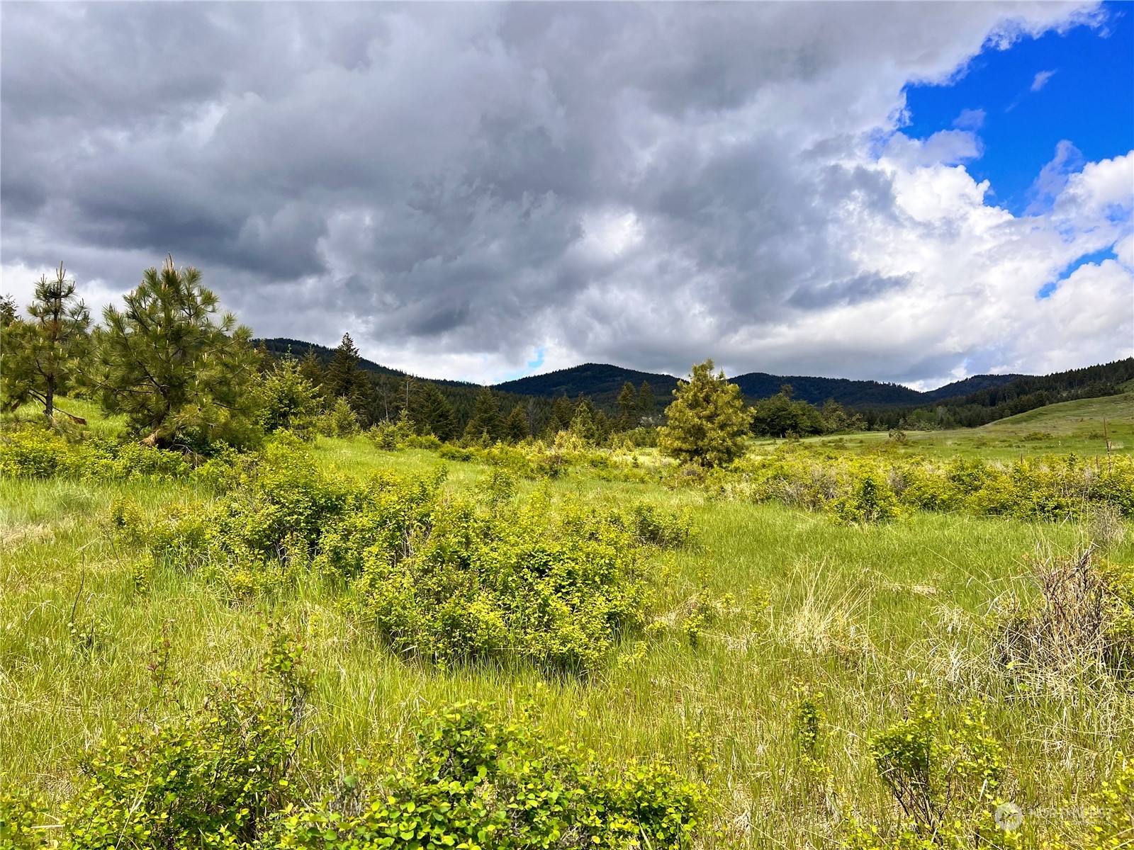 -tbd Big Goosmus Creek Road Curlew, WA 99118 - Photo 5 of 12 a view of a lake