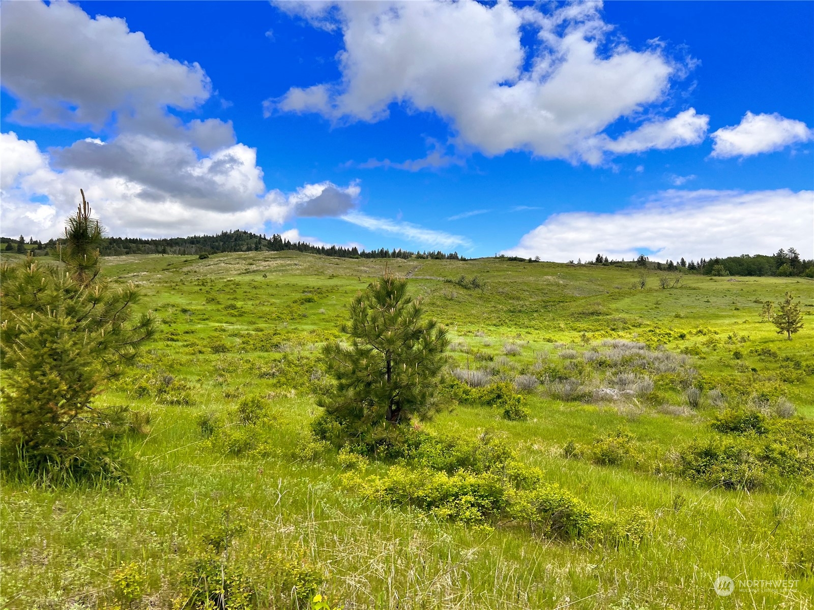 -tbd Big Goosmus Creek Road Curlew, WA 99118 - Photo 7 of 12 a view of an ocean
