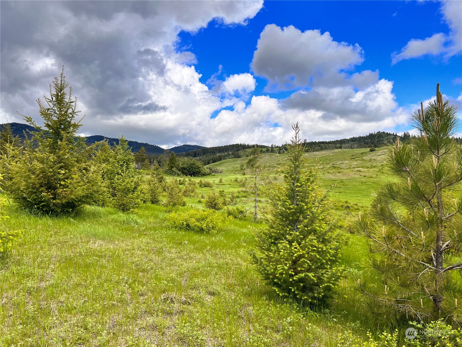 -tbd Big Goosmus Creek Road Curlew, WA 99118 - Photo 8 of 12 a view of a lake