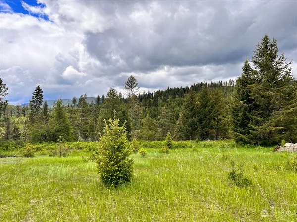 a view of a garden