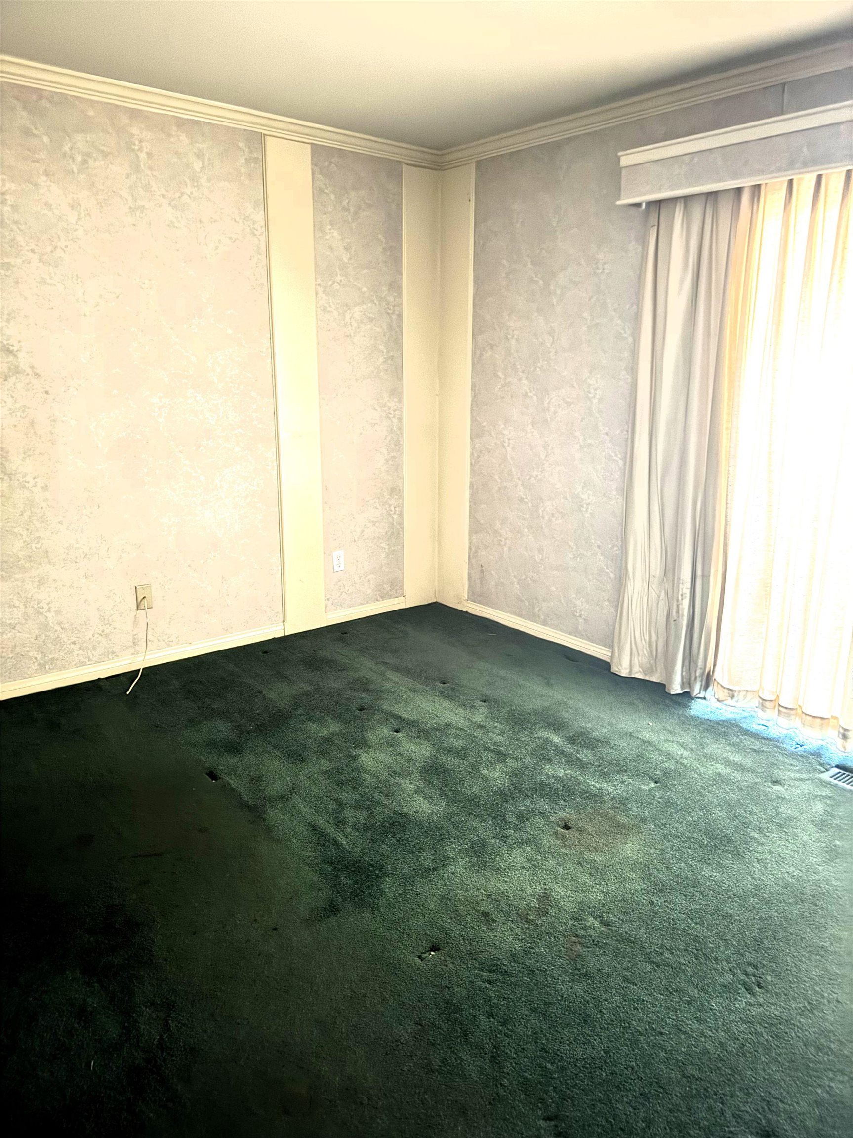 4 Kelley Road, Unit 1 Mammoth Lakes, CA 93546 - Photo 5 of 19 Room featuring a plush green carpet, patterned wallpaper with vertical accent strips, and crown mold