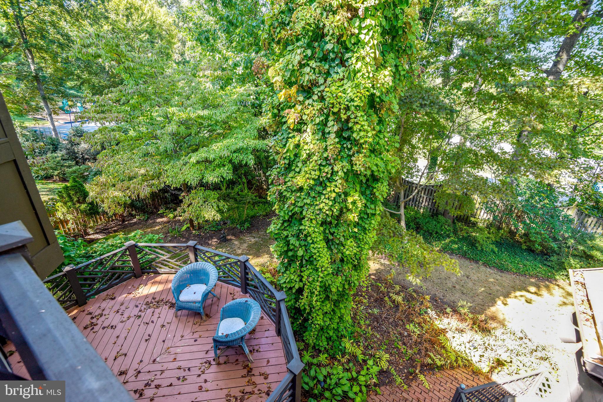3117 Rolling Road Chevy Chase, MD 20815 - Photo 24 of 48 Master Balcony View