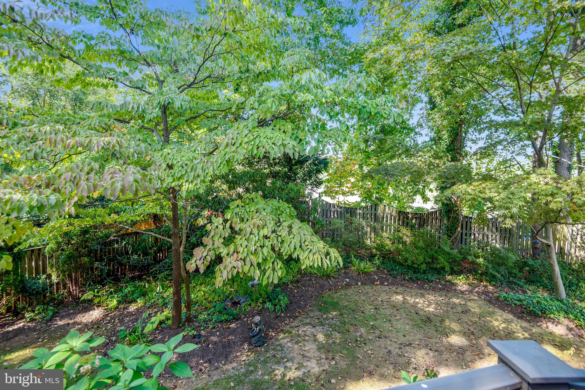 3117 Rolling Road Chevy Chase, MD 20815 - Photo 46 of 48 Rear Yard