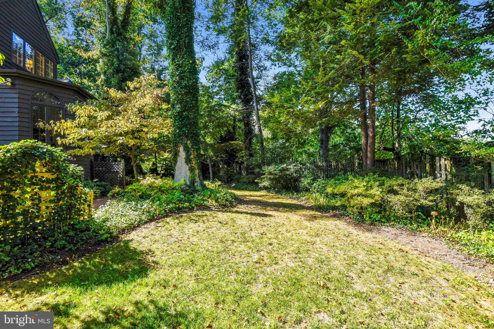 3117 Rolling Road Chevy Chase, MD 20815 - Photo 47 of 48 Yard
