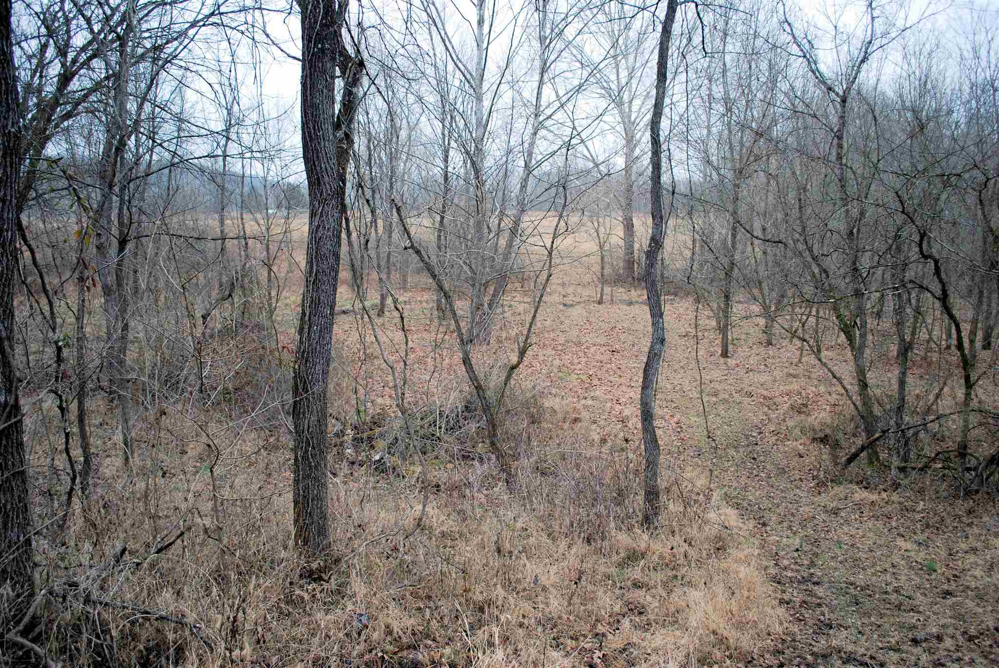 3710 Moffett Road Morning View, KY 41063 - Photo 18 of 25