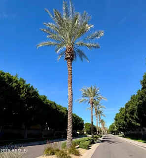 a view of a yard with a fountain