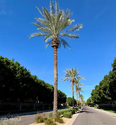 $3,200 | 7307 East Vaquero Drive, Scottsdale, AZ 85253