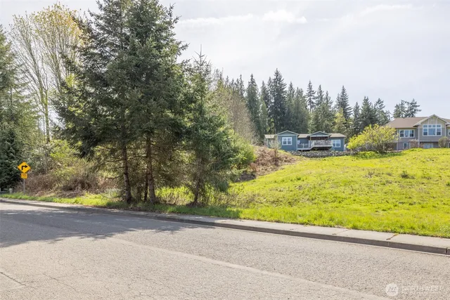 a view of a yard with potted plants