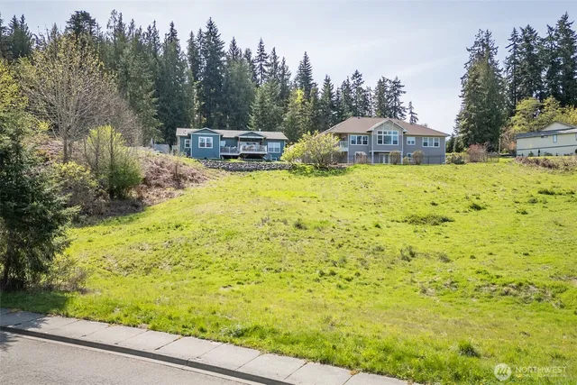 a view of a yard with an trees