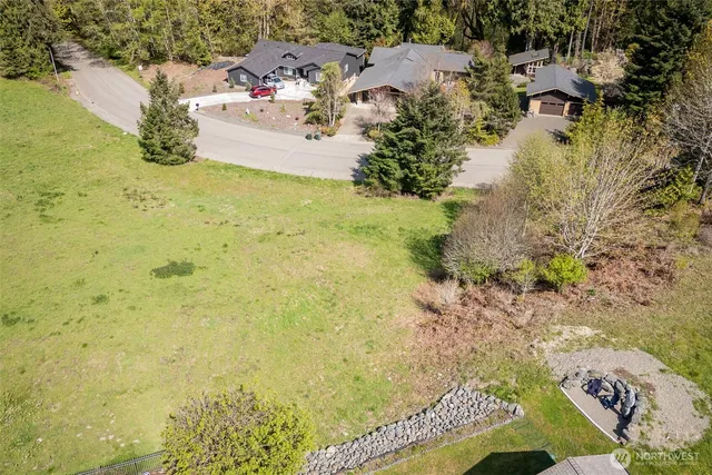 a view of a yard with trees