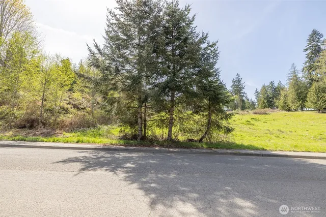 a view of road with large trees