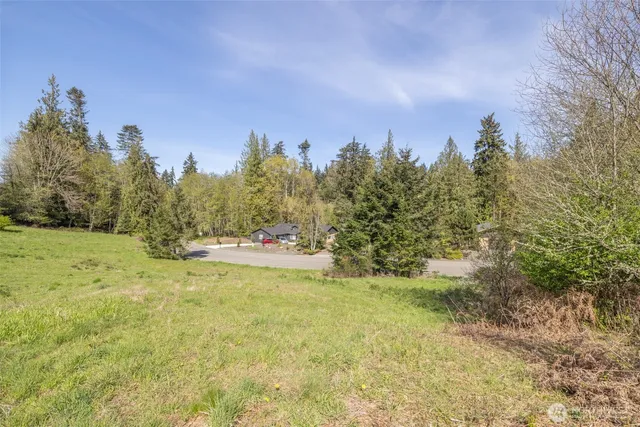 a view of a city with lush green forest