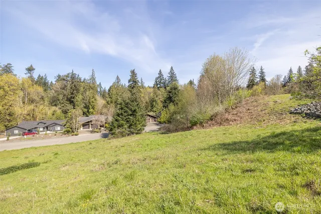 a view of a yard with an trees
