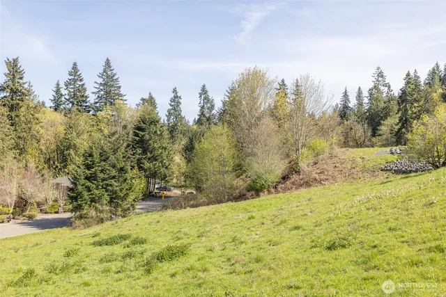 a view of mountain view with trees in the background