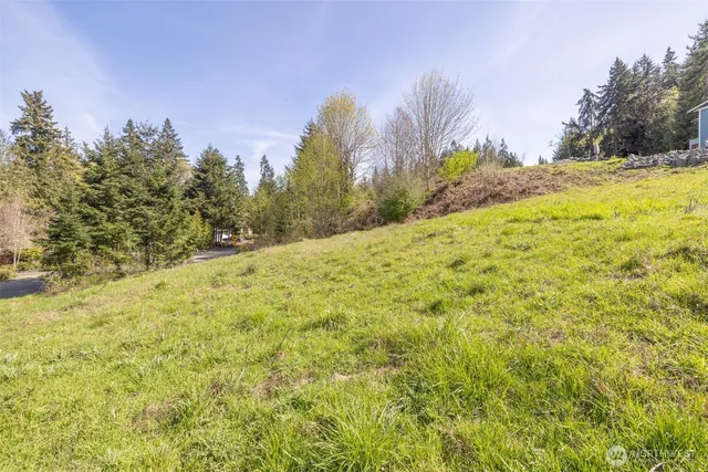 a view of a large yard with trees in the background