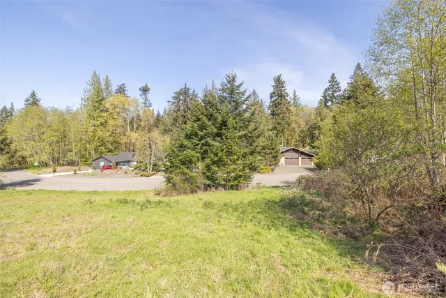 a view of a yard with a tree
