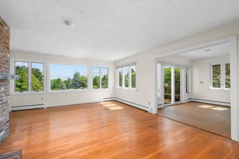 a view of a garden from a window