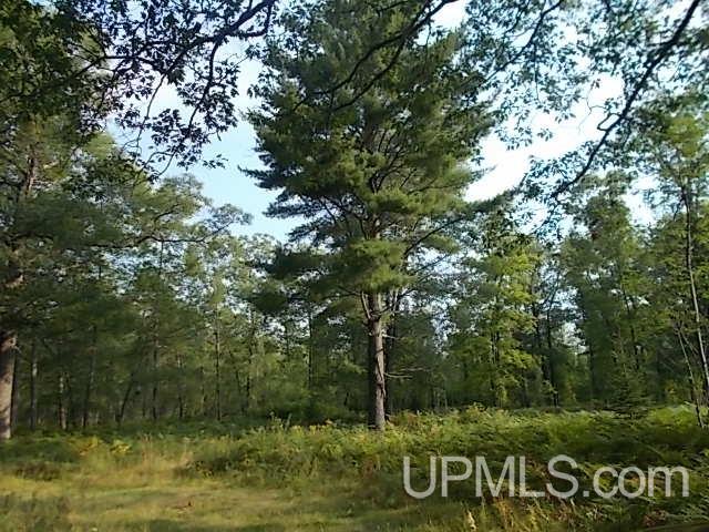 T-wi Woods Road Florence, WI 54121 - Photo 6 of 9