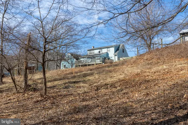 a view of backyard with a barn and a large tree