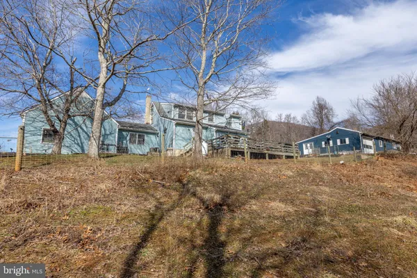 a view of backyard with wooden fence and large trees