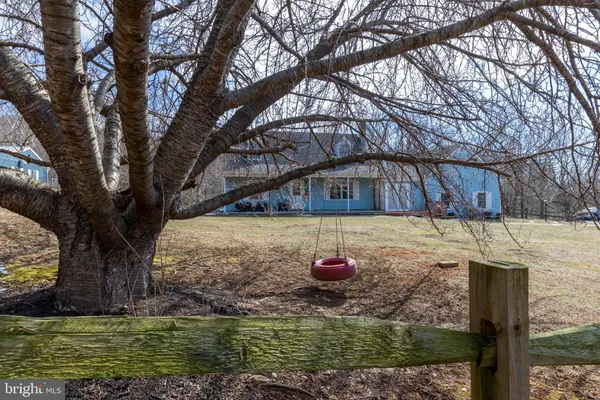a view of yard