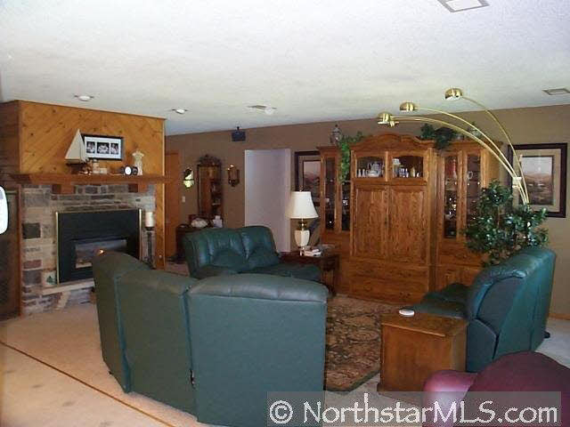 21398 Red Cedar Court Cold Spring, MN 56320 - Photo 4 of 11