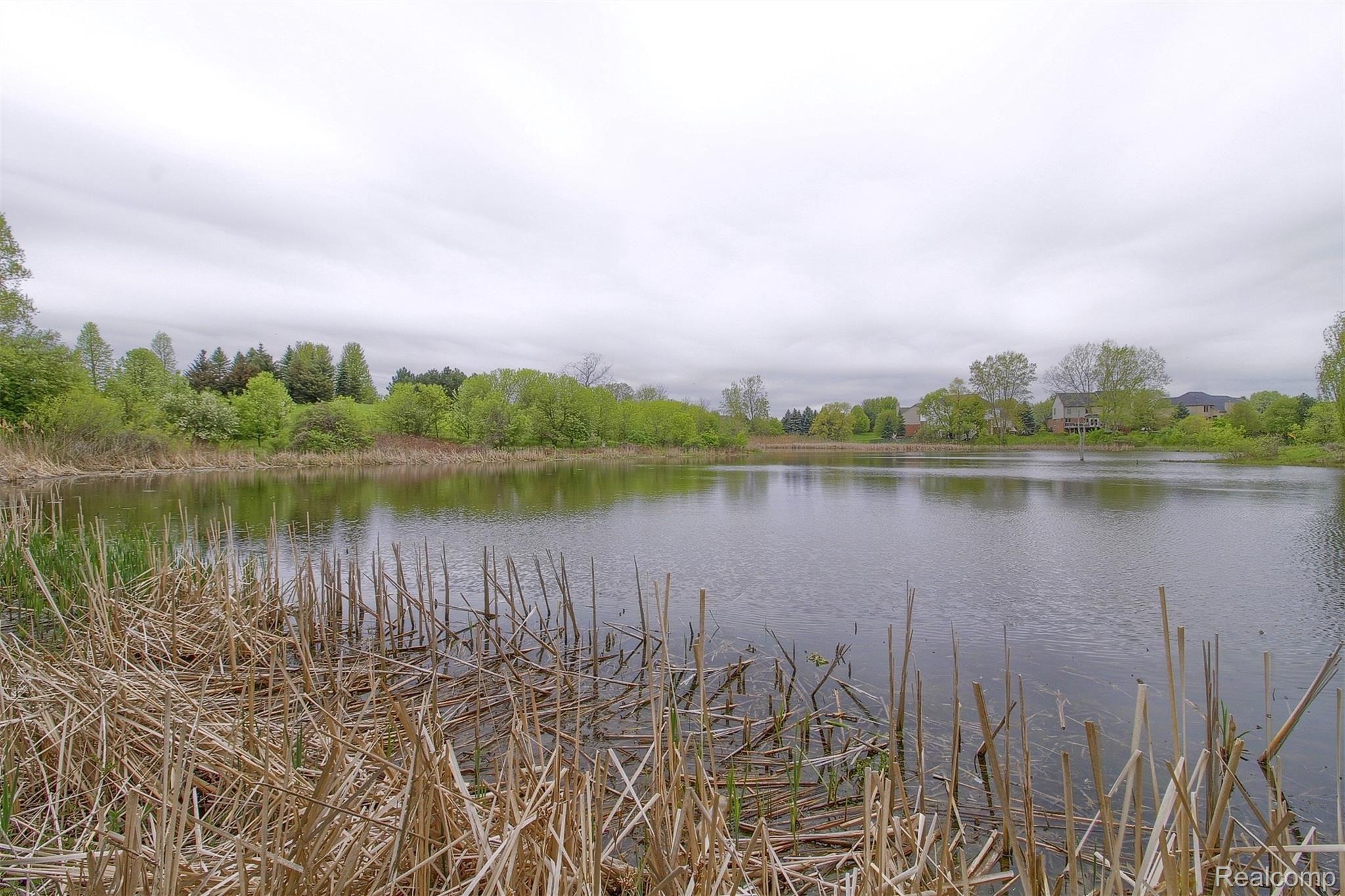 1229 Tulberry Circle Rochester, MI 48306 - Photo 36 of 36 36-Pond.jpg