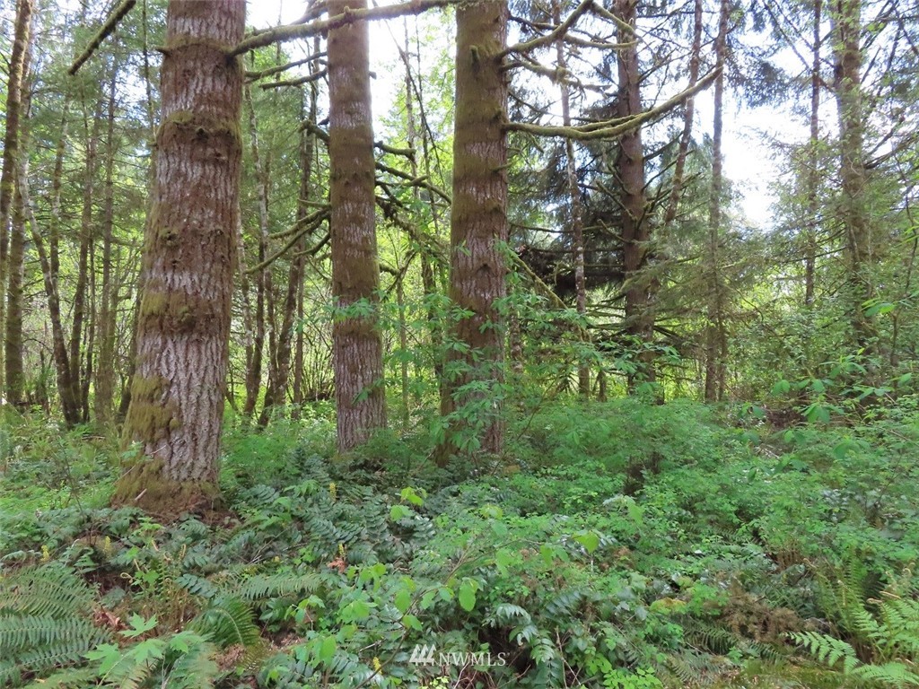 5 State Route 6 Chehalis, WA 98532 - Photo 14 of 37