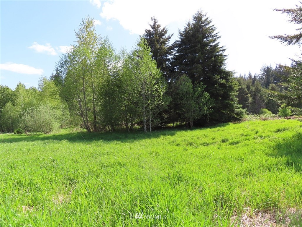 5 State Route 6 Chehalis, WA 98532 - Photo 3 of 37