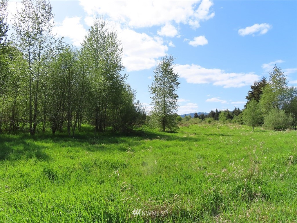 5 State Route 6 Chehalis, WA 98532 - Photo 21 of 37