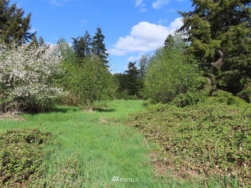 5 State Route 6 Chehalis, WA 98532 - Photo 22 of 37