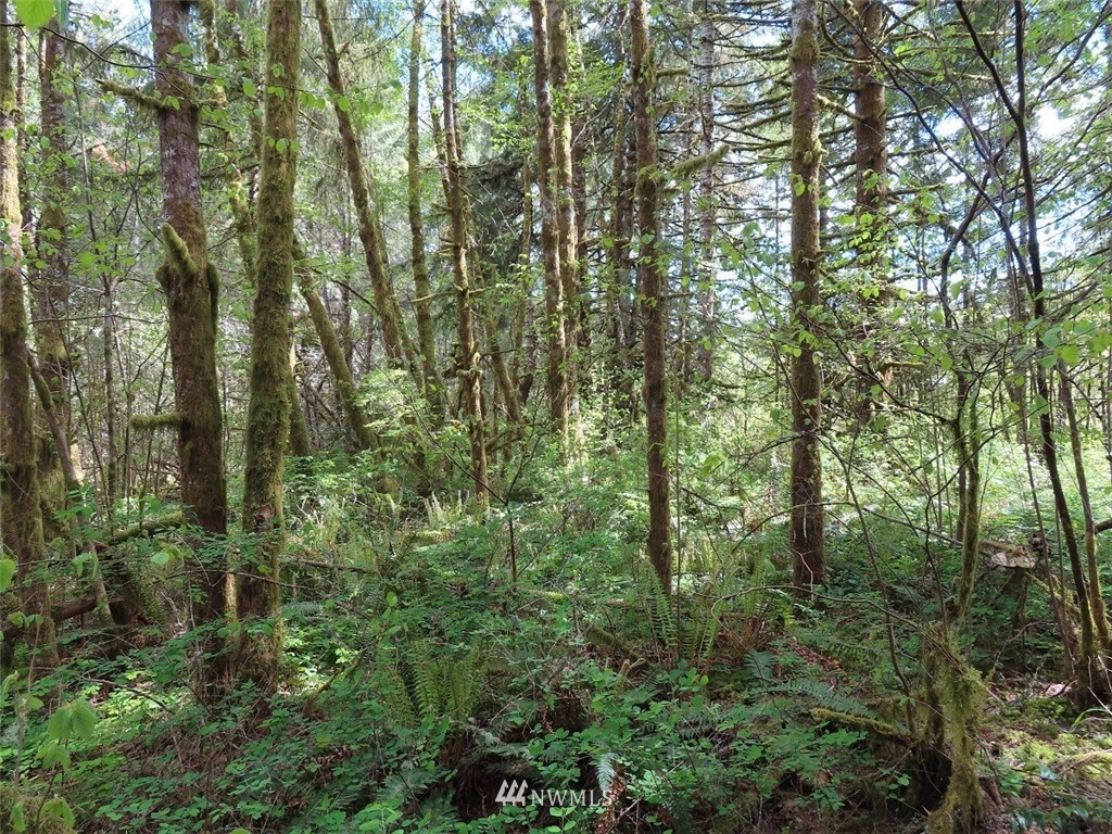 5 State Route 6 Chehalis, WA 98532 - Photo 25 of 37