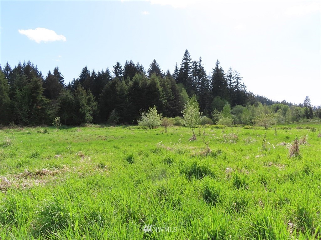 5 State Route 6 Chehalis, WA 98532 - Photo 5 of 37