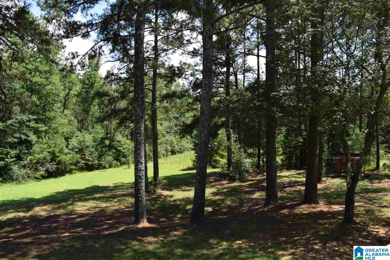 40 Armstrong Loop Hayden, AL 35079 - Photo 7 of 45