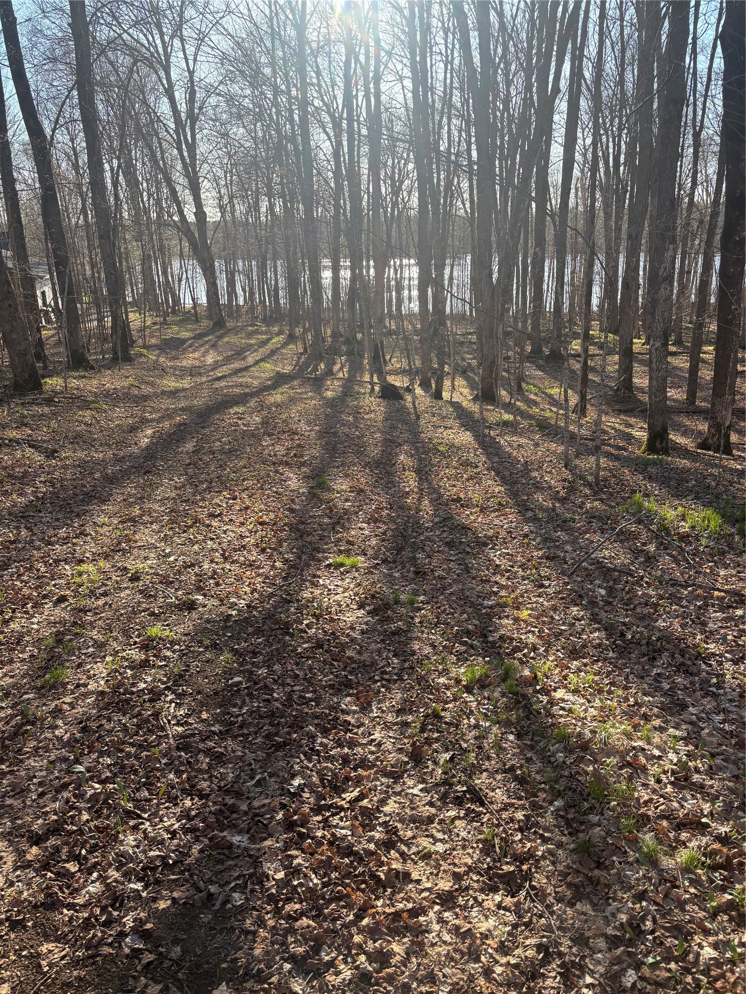 Lot 11 Lake Winter Road Winter, WI 54896 - Photo 2 of 3